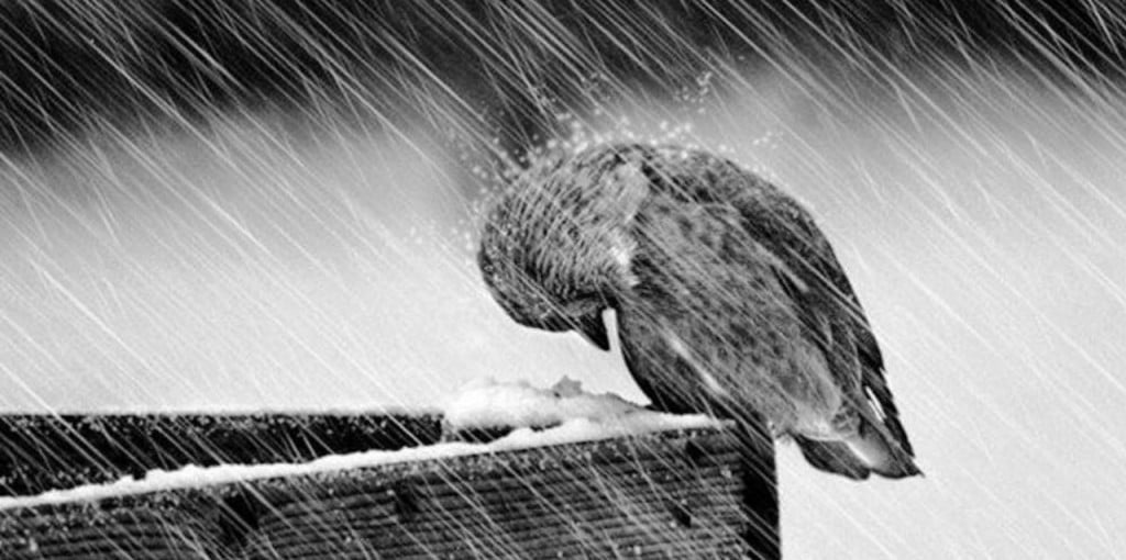Vraylar can also benefit sufferers with bipolar despair, manic signs 8
