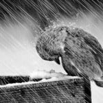 Vraylar can also benefit sufferers with bipolar despair, manic signs 3