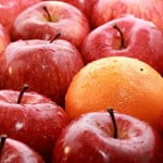 Cholesterol Levels Improving Among U.S. Kids 2