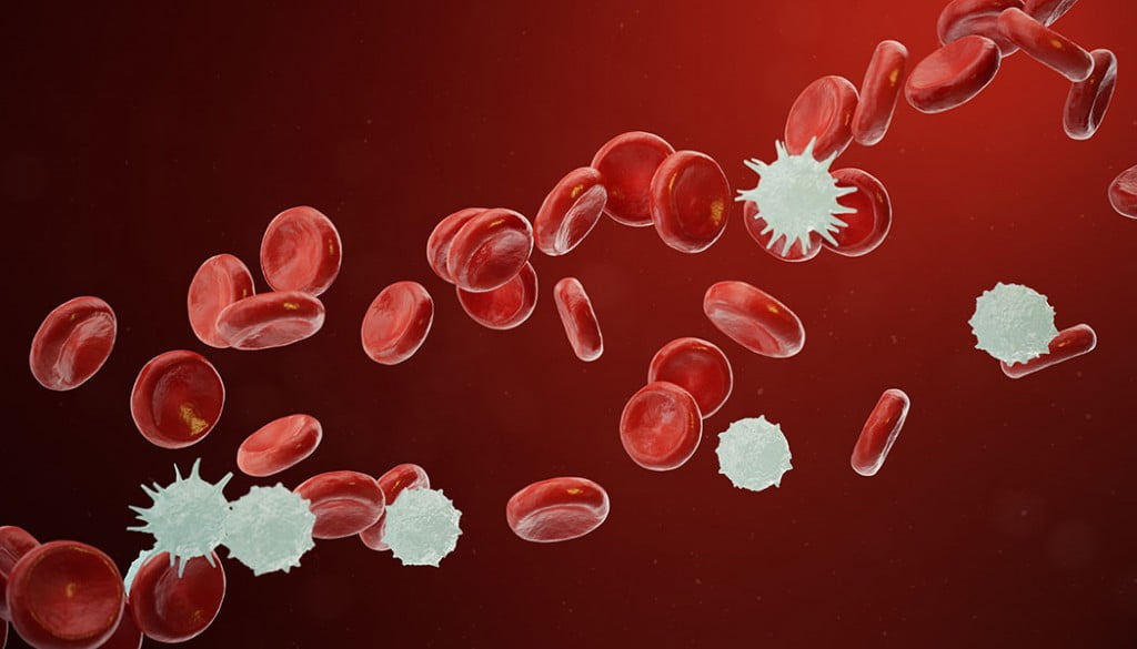 Targeted therapy proves effective in opposition to competitive uncommon blood most cancers 2