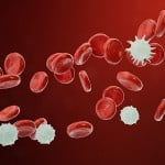 Targeted therapy proves effective in opposition to competitive uncommon blood most cancers 3