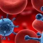 Industry Report 2025 2