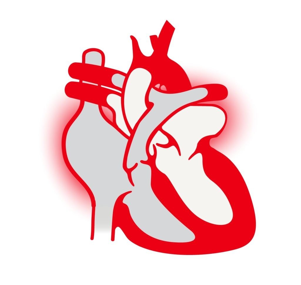 High blood stress - the quality cheese to decrease your hazard of deadly hypertension 1