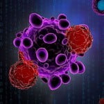 Found: A Cancer Drug’s Mechanism of Action 2