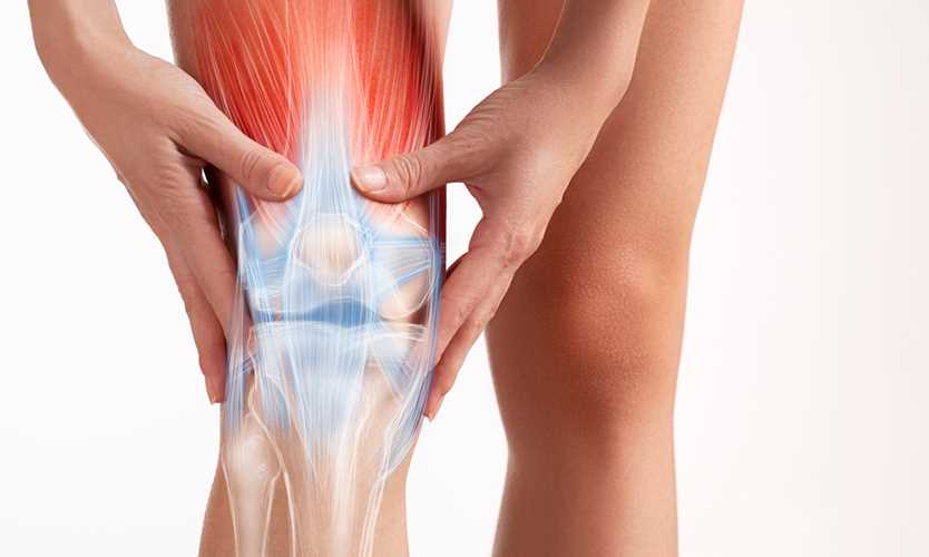 Nick Bosa exits practice with apparent hamstring harm, 49ers unsure of severity 1