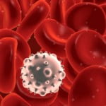 Aging is the unmarried biggest non-modifiable chance aspect for cancer 2