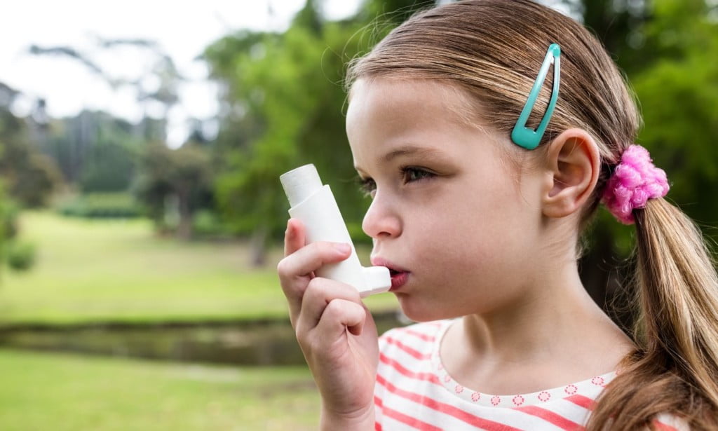 Predicting allergies attacks in youngsters 6