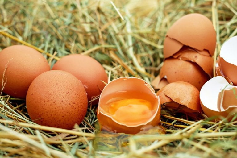 Food Safety: What You Should Keep in Mind 6