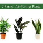 Buy the best oxygen plants for your industry 1