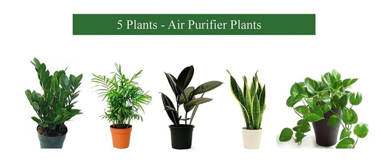 Buy the best oxygen plants for your industry 5