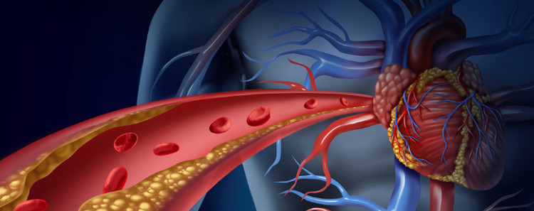 How to get rid of the waxy substance in your blood 2
