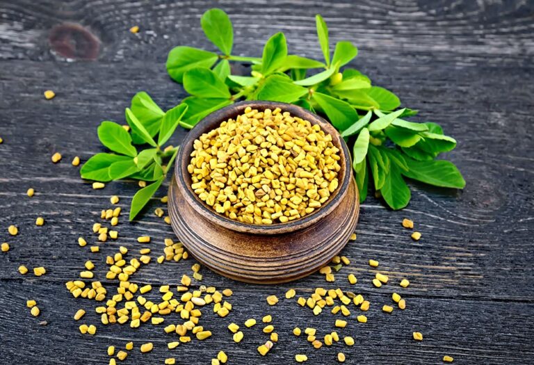 How to Use Fenugreek for Breastfeeding in 2022 1